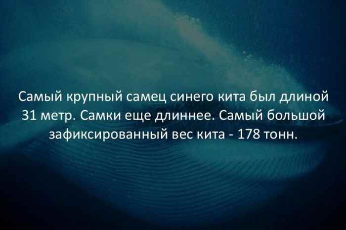 0e7628202d.jpg