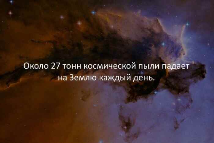 1126af0702.jpg