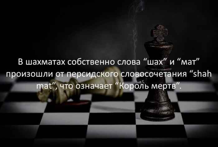 15511c47c0.jpg