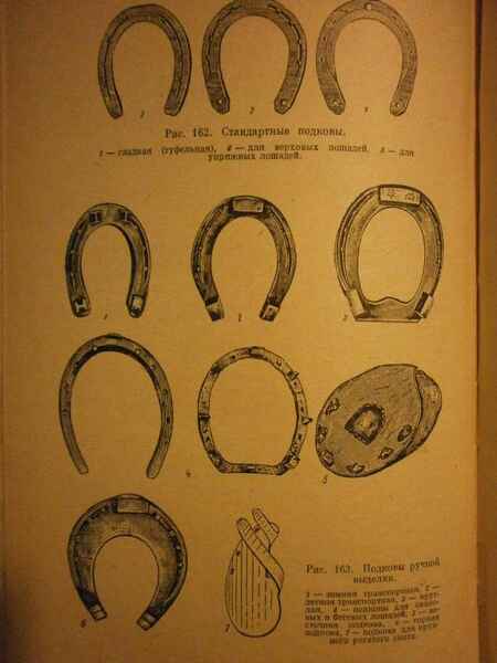 Номера подков. Французская подкова 1812 года. Лошадиная подкова времен Ивана Грозного. Старинные подковы для лошадей. Старинные пахвы для лошади.