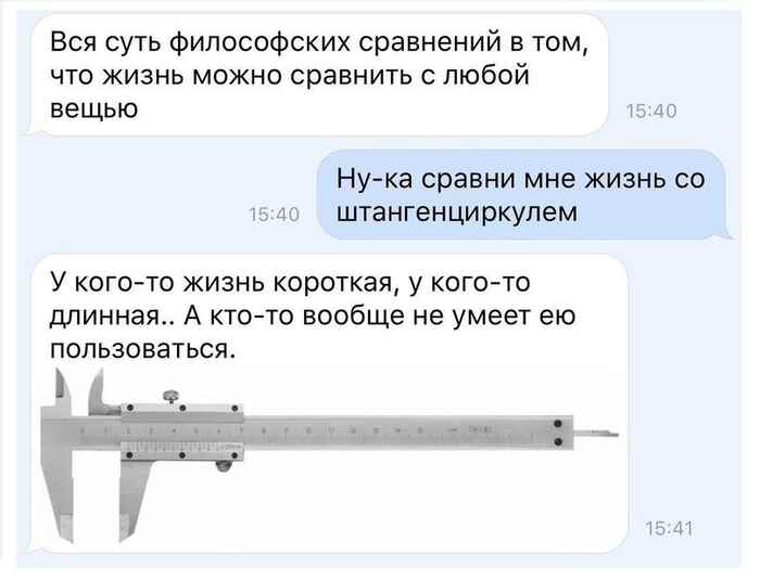 10883976.jpg