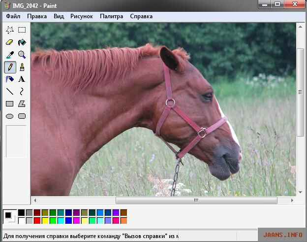 primer-umensenija-foto-1.jpg
