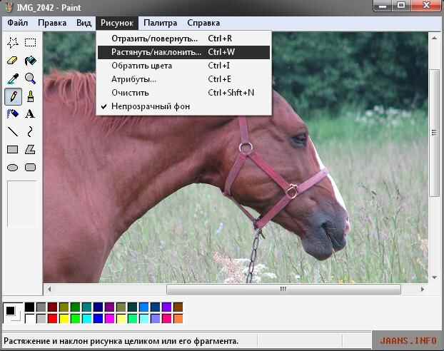 umensaem-ves-fotografii-2.jpg