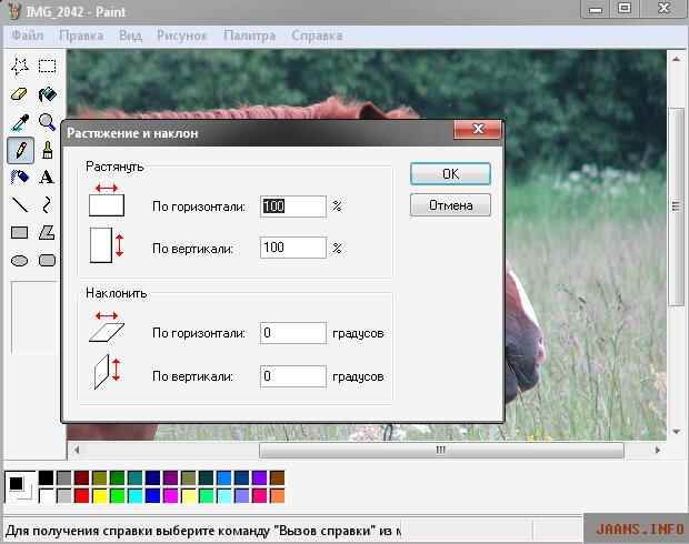 umensaem-ves-fotografii-3.jpg