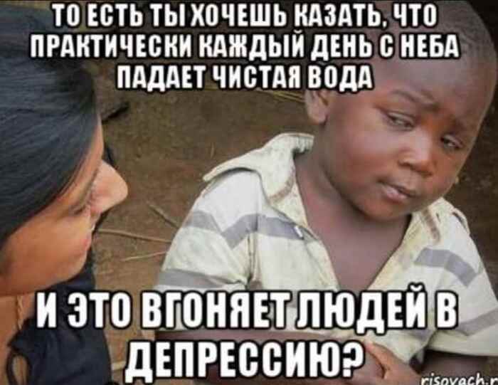 2360427_original.jpg