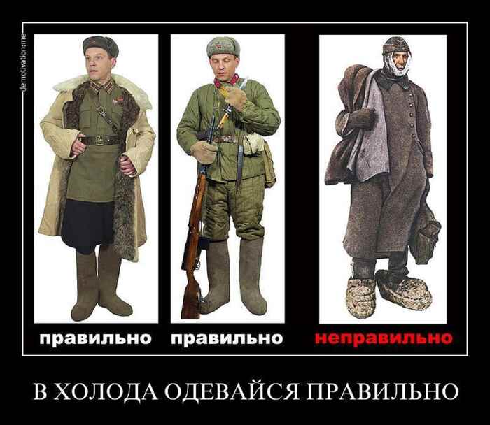 1585048.jpg