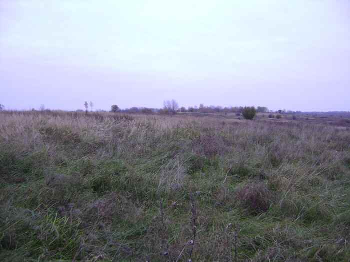 kU-vF11O0Zw.jpg
