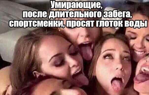 1XqVTkvYDNk.jpg