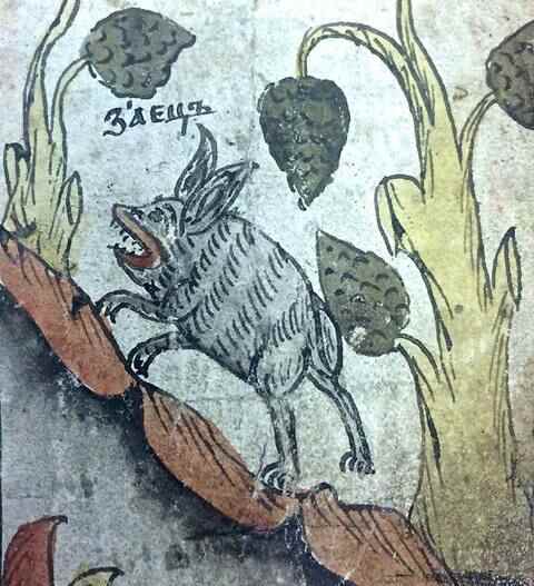 Картинки по запросу заяц на древней летописи