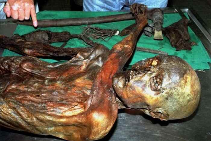 10 малоизвестных фактов о ледяной мумии Эци, возраст которой 5300 лет