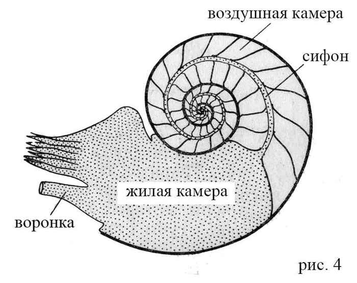 961124605_4.thumb.jpg.941da108a044a8dfde0ace9b172f53ca.jpg