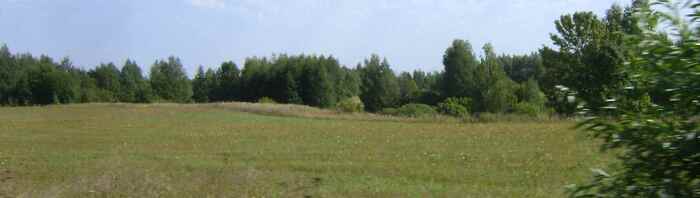 DSC03745.thumb.JPG.2a1c710a7cc201d8f9c5e7af55bcc314.JPG